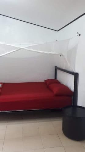 Standard Double Room with Fan