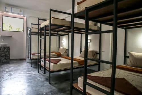 Bunk Bed in Mixed Dormitory Room
