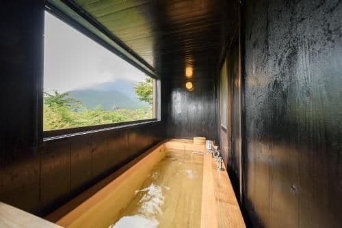 Deluxe Suite with Spa Bath