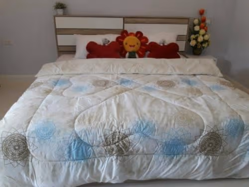 Mixed Dormitory Room