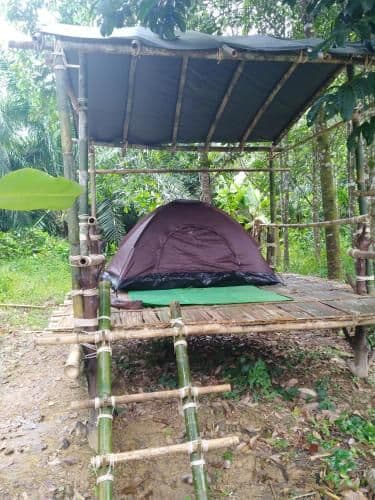 Tent