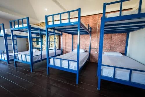 Bunk Bed in Mixed Dormitory Room