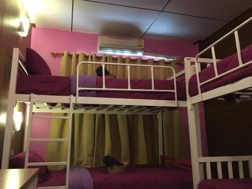Bunk Bed in Female Dormitory Room