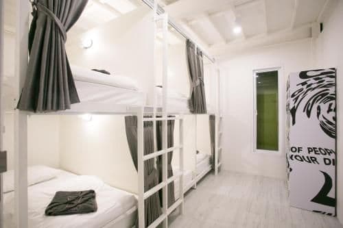 Bunk Bed in Mixed Dormitory Room