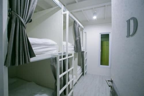 Bunk Bed in Mixed Dormitory Room