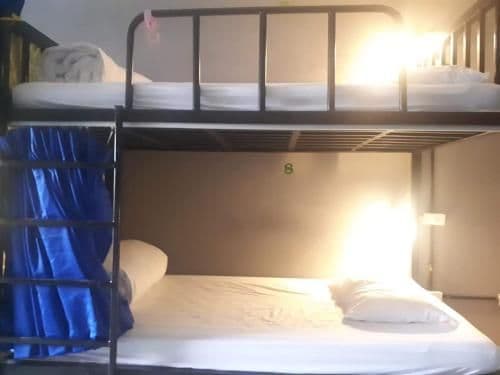 Bed in 8-Bed Mixed Dormitory Room