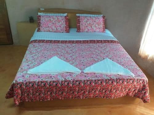 Standard Double Room with Fan