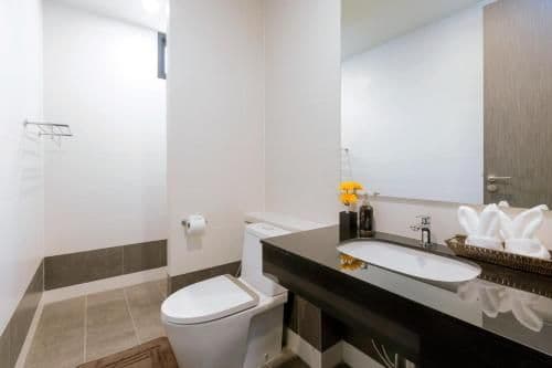 Modern Tropical Suite