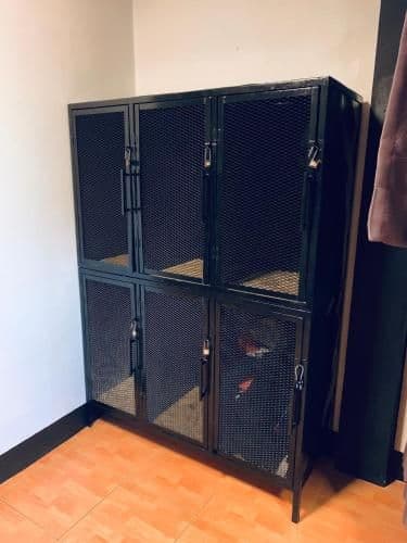 Bunk Bed in Female Dormitory Room