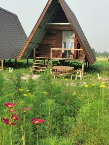 Standard Double Room with Shared Bathroom and Fan (No.1)