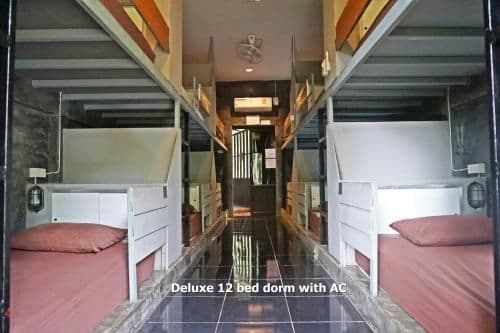 Bunk Bed in Mixed Dormitory Room