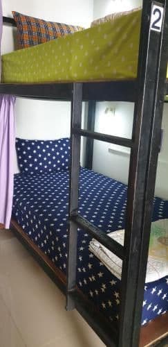 Bunk Bed in Mixed Dormitory Room