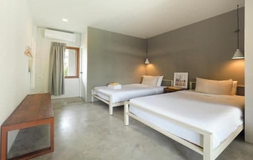Standard Twin Room