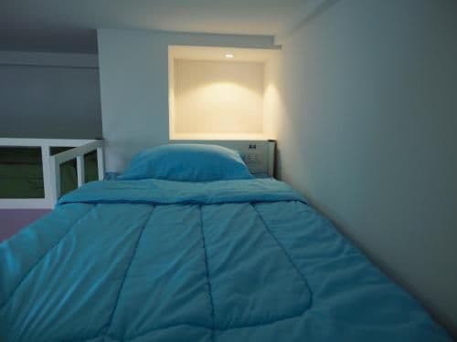 Bunk Bed in Female Dormitory Room