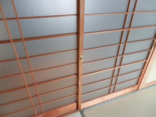 Single Bed in Female Dormitory Room