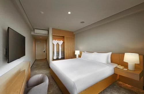 Deluxe King Room