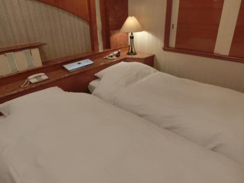 Deluxe Twin Room - Non-Smoking