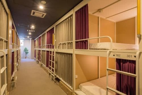 Bunk Bed in Female Dormitory Room