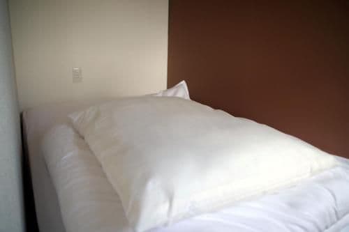 Single Bed in Mixed Dormitory Room