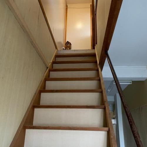 Classic Triple Room (Female Only)