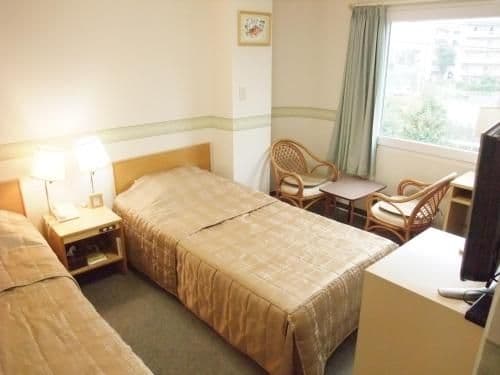 Superior Twin Room - Non-Smoking