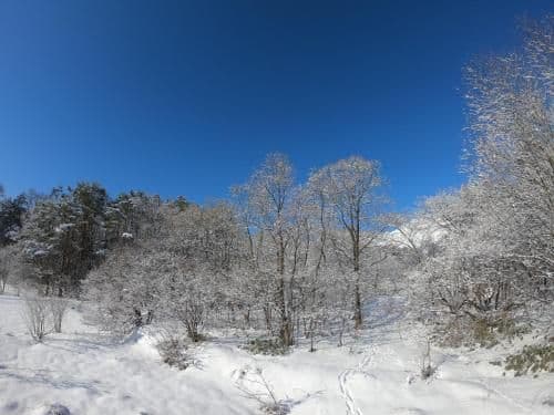 Superior Chalet