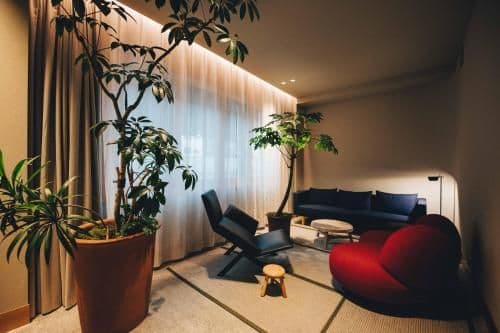 Queen Suite