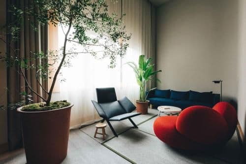 Queen Suite