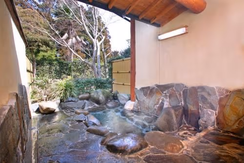 Twin Room with Tatami Area