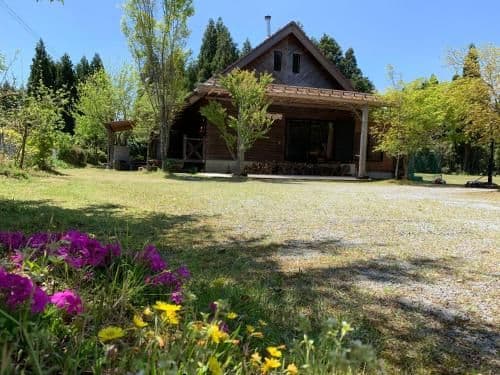 Family Bungalow