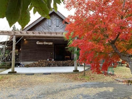 Family Bungalow