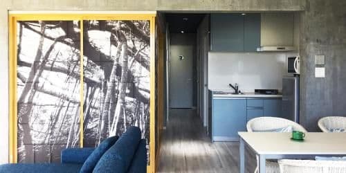 Deluxe Suite with Sea View 102