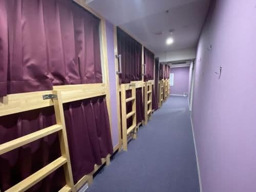 Bunk Bed in Mixed Dormitory Room