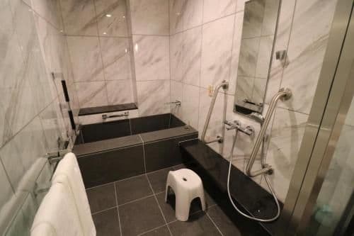 Suite Room with Tatami Area