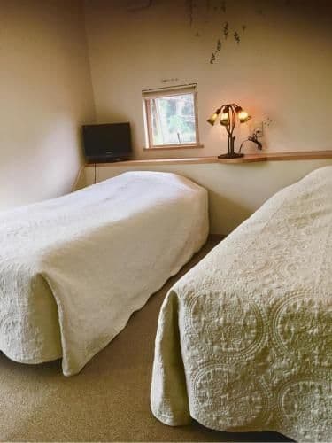 Twin Room - Non-Smoking