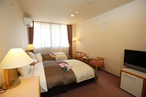 Economy Twin Room