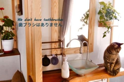 Quadruple Room with Shared Bathroom