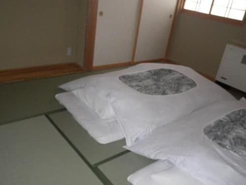 Japanese-Style Family Room with Shared Toilet