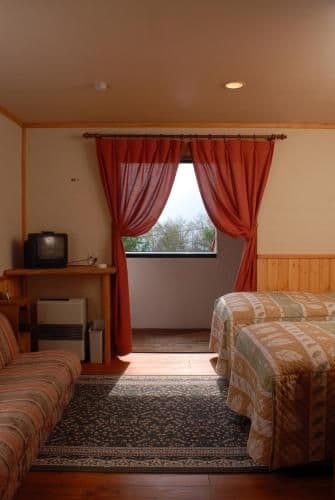 Twin Room - Non-Smoking