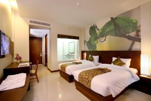 Deluxe Double or Twin Room