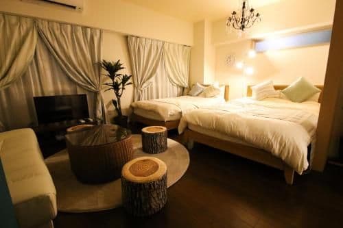 Deluxe Apartment