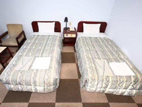 Twin Room - Non-Smoking