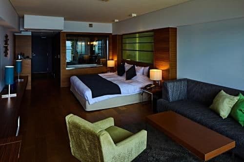 Standard Queen Room with Ocean View