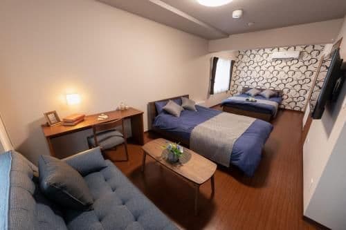 Large Double or Twin Room