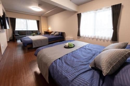 Large Double or Twin Room