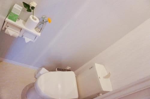 Two-Bedroom Apartment - 1F