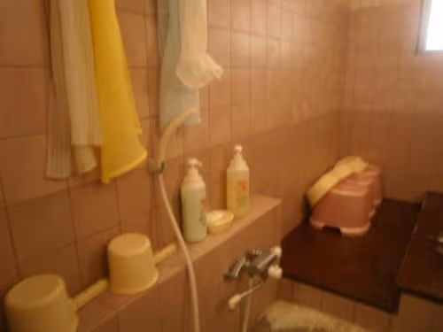 Japanese-Style Single Room with Shared Bathroom - Annex
