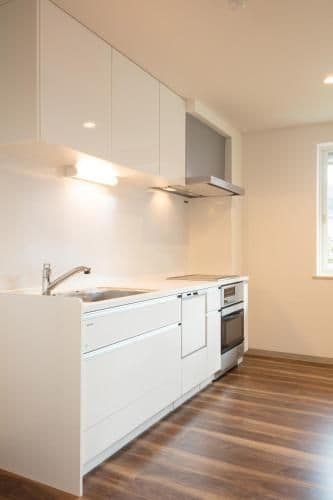 Apartment with Mountain View