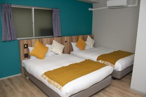 Deluxe Apartment