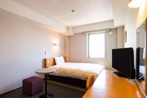Standard Double Room - Non-Smoking
